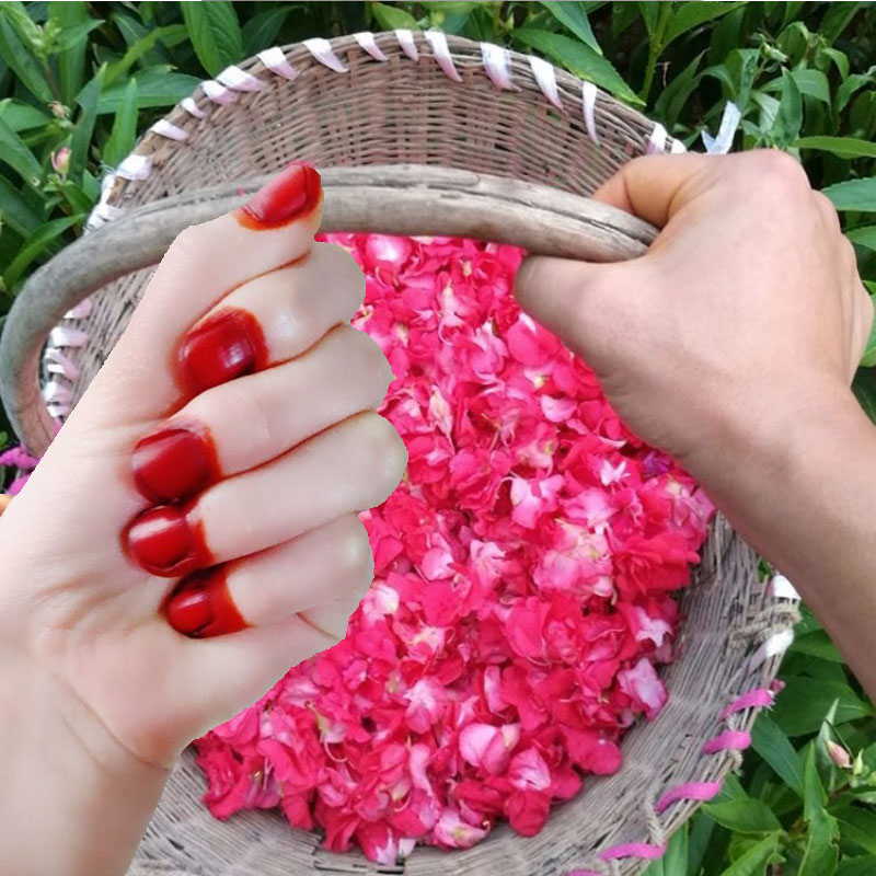Nail Art Natural - 40g Henna Nail Dye Powder For
